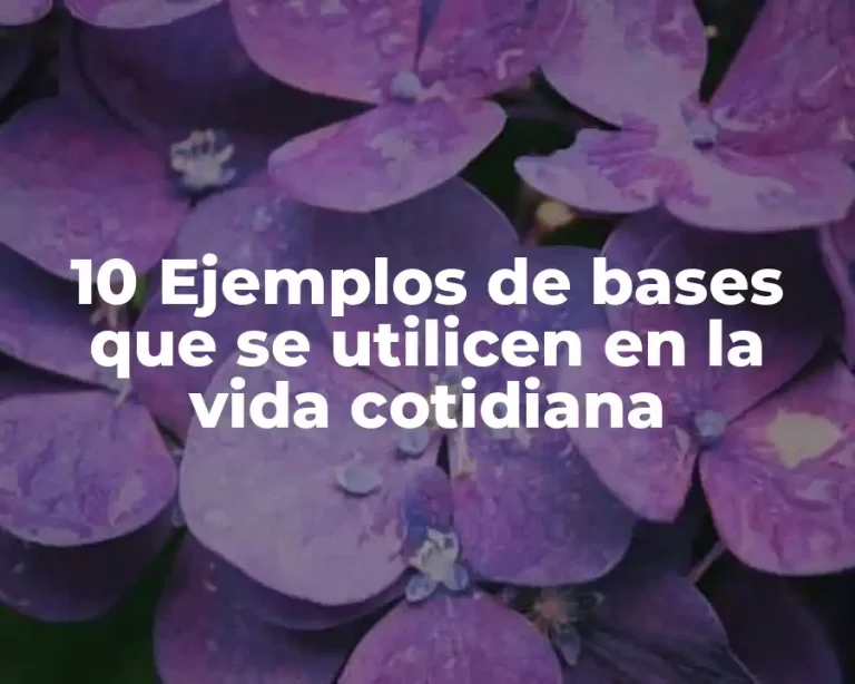 10 Ejemplos de bases que se utilicen en la vida cotidiana