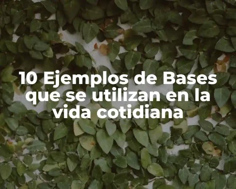 10 Ejemplos de Bases que se utilizan en la vida cotidiana