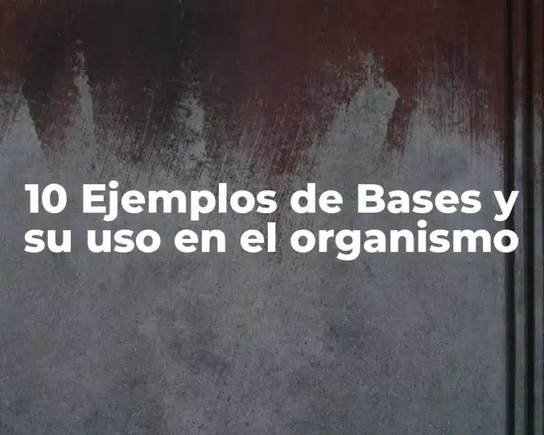 10 Ejemplos de Bases y su uso en el organismo