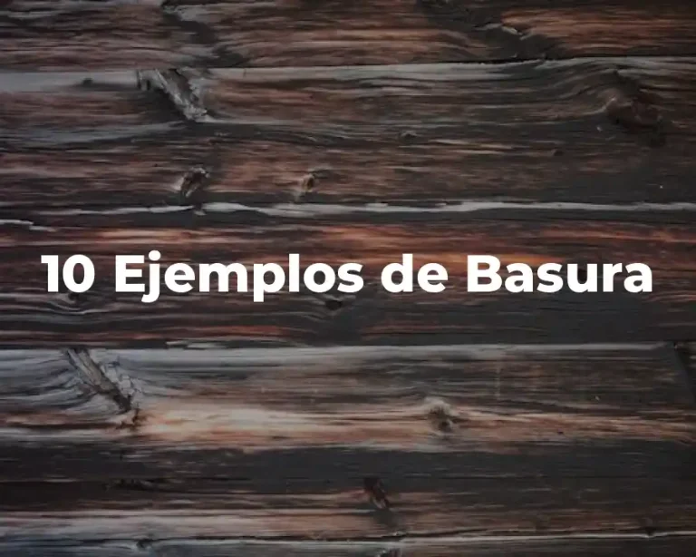 10 Ejemplos de Basura