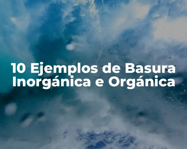 10 Ejemplos de Basura Inorgánica e Orgánica