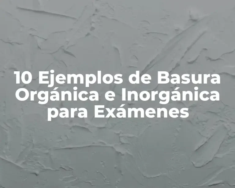 10 Ejemplos de Basura Orgánica e Inorgánica para Exámenes