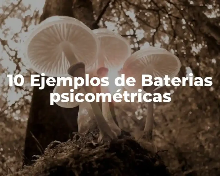10 Ejemplos de Baterias psicométricas