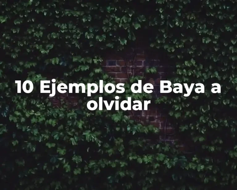 10 Ejemplos de Baya a olvidar