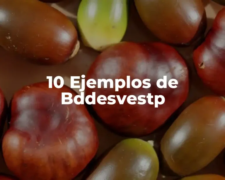 10 Ejemplos de Bddesvestp