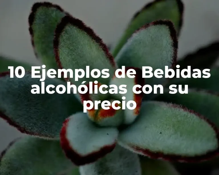 10 Ejemplos de Bebidas alcohólicas con su precio