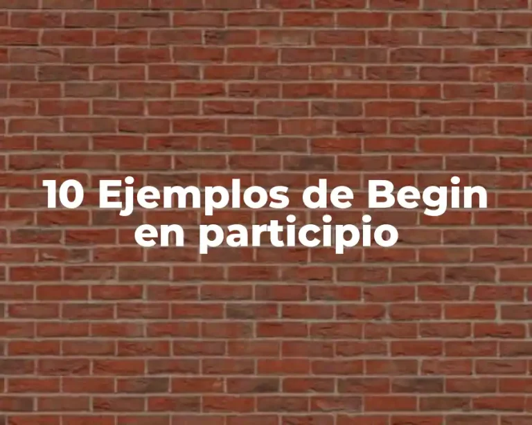 10 Ejemplos de Begin en participio