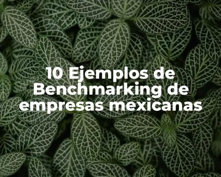 10 Ejemplos de Benchmarking de empresas mexicanas