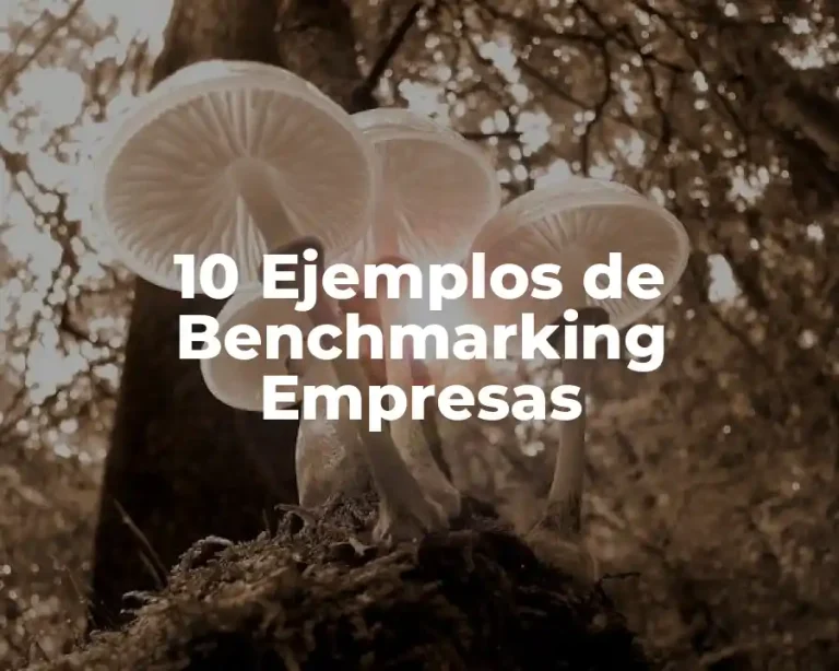 10 Ejemplos de Benchmarking Empresas