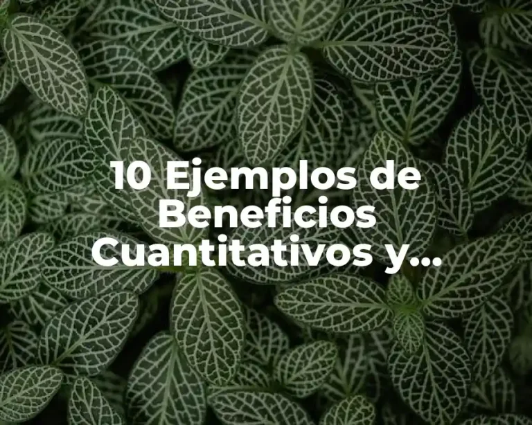 10 Ejemplos de Beneficios Cuantitativos y Cualitativos