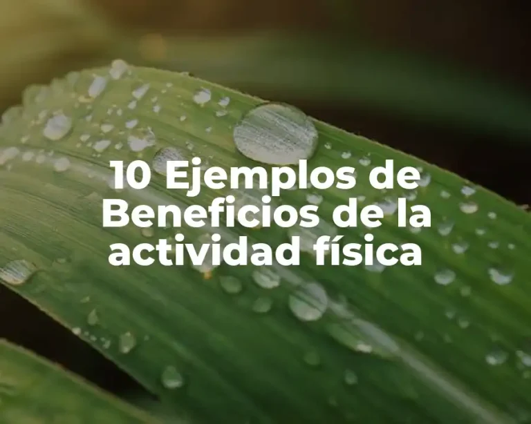10 Ejemplos de Beneficios de la actividad física