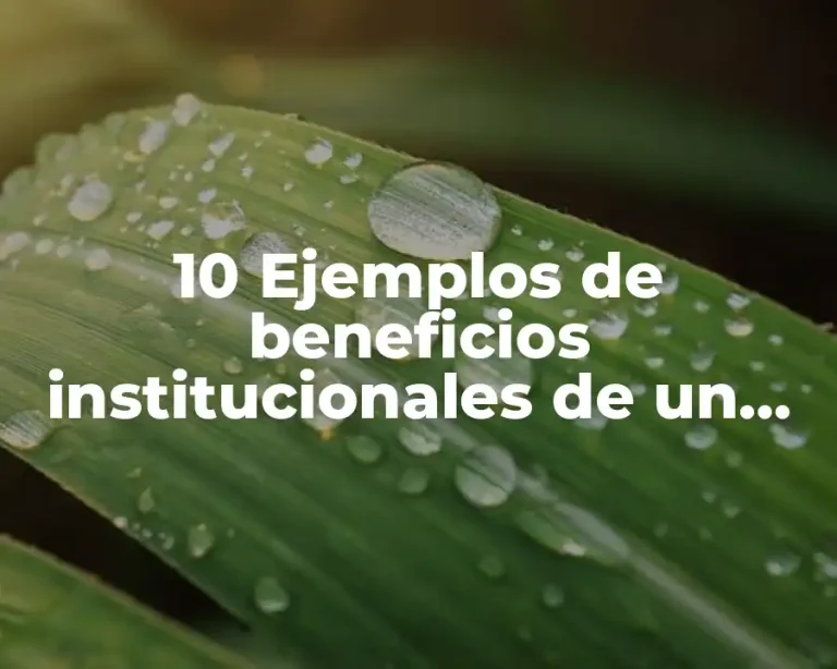 10 Ejemplos de beneficios institucionales de un proyecto, Definición, Diferencias y para que sirve