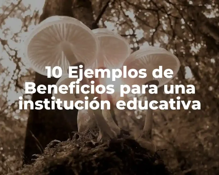 10 Ejemplos de Beneficios para una institución educativa
