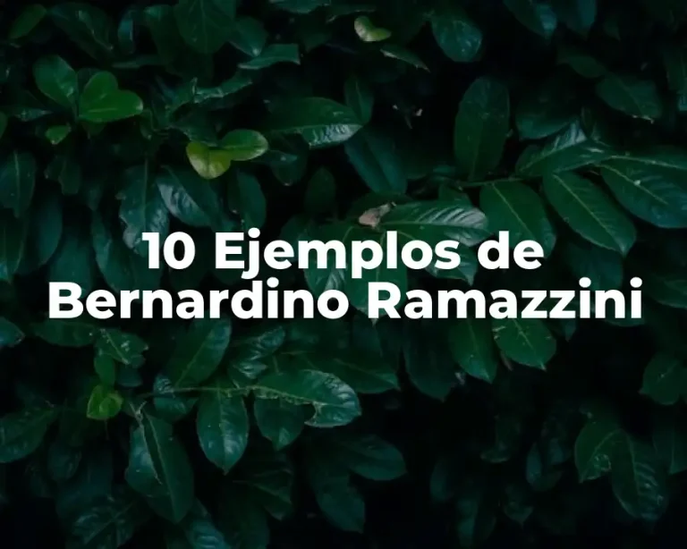 10 Ejemplos de Bernardino Ramazzini