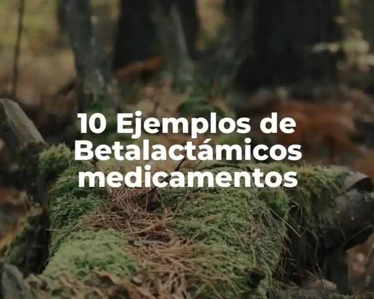 10 Ejemplos de Betalactámicos medicamentos