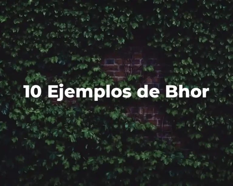 10 Ejemplos de Bhor