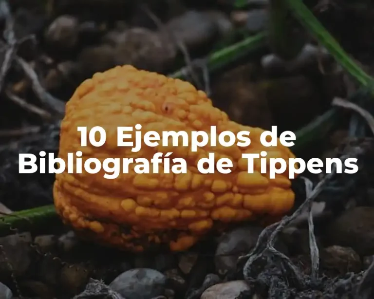 10 Ejemplos de Bibliografía de Tippens