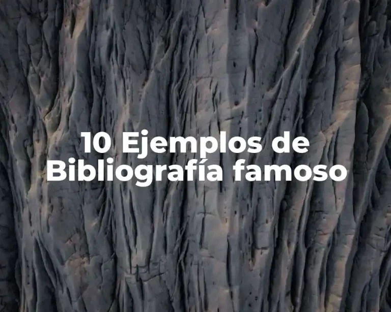 10 Ejemplos de Bibliografía famoso