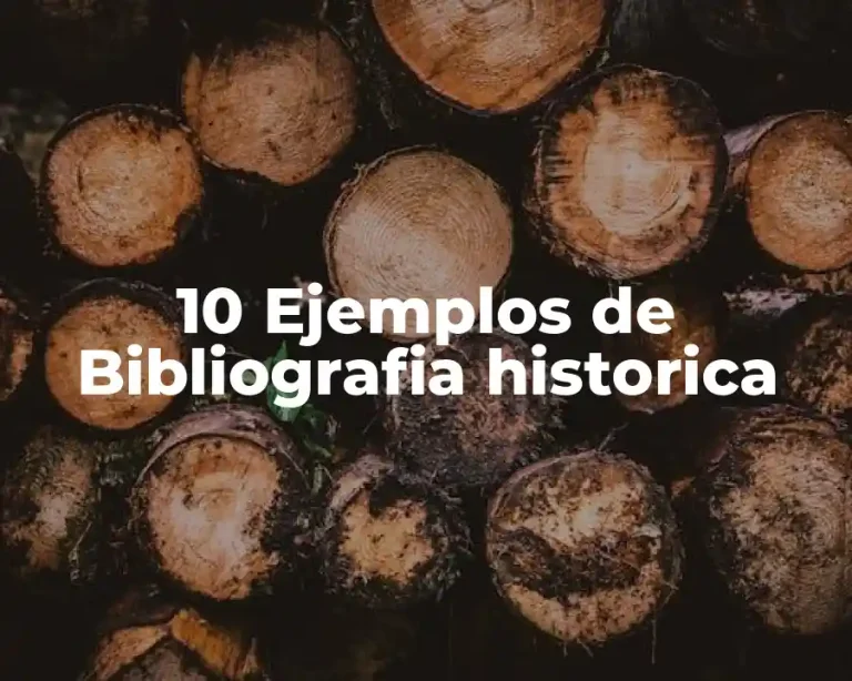 10 Ejemplos de Bibliografia historica