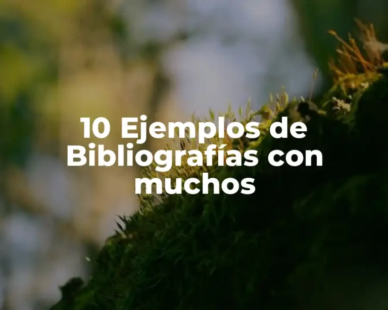 10 Ejemplos de Bibliografías con muchos