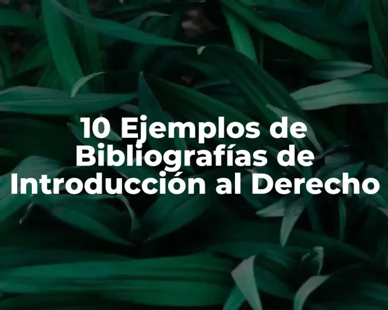 10 Ejemplos de Bibliografías de Introducción al Derecho