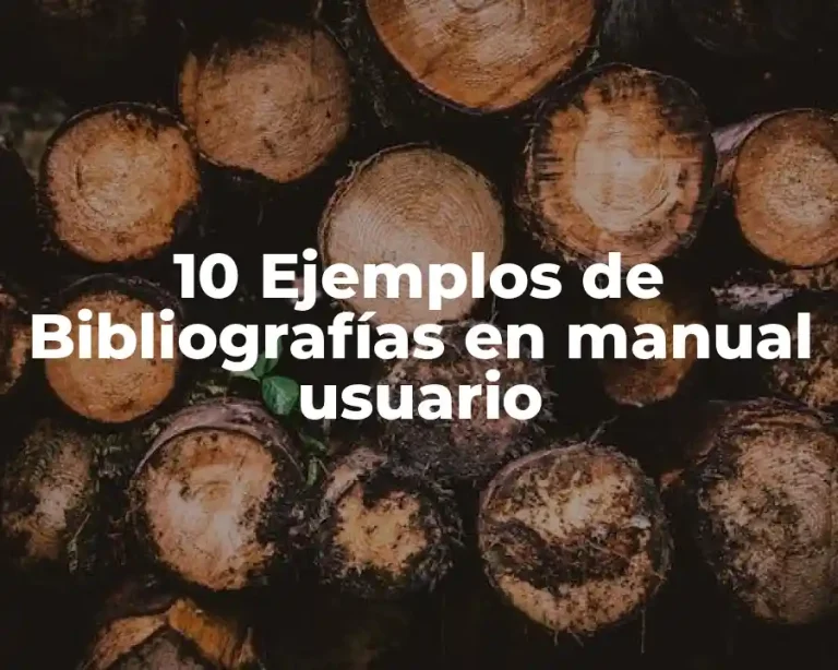10 Ejemplos de Bibliografías en manual usuario
