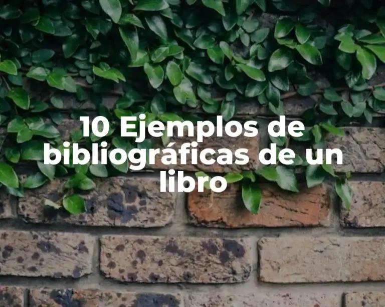 10 Ejemplos de bibliográficas de un libro