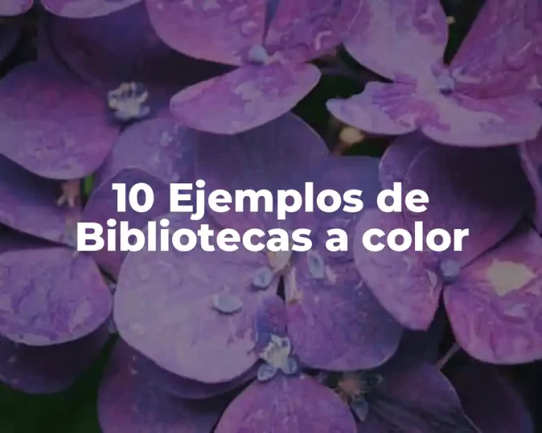 10 Ejemplos de Bibliotecas a color