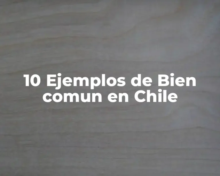 10 Ejemplos de Bien comun en Chile