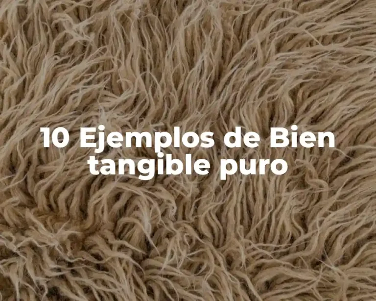 10 Ejemplos de Bien tangible puro