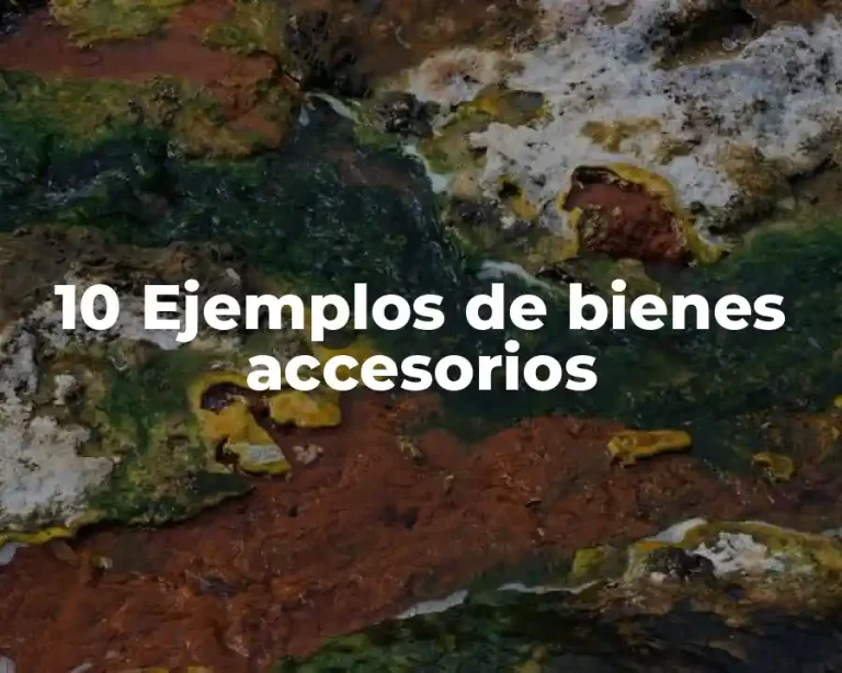 10 Ejemplos de bienes accesorios