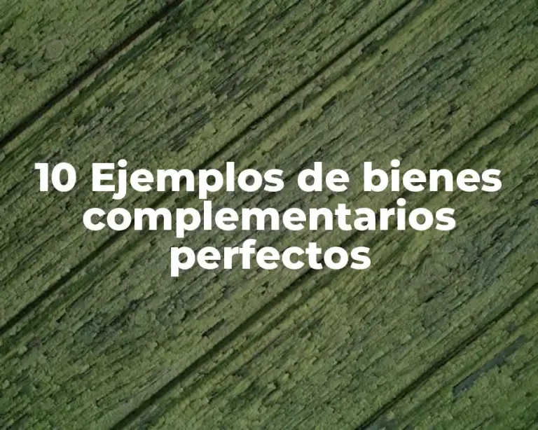 10 Ejemplos de bienes complementarios perfectos