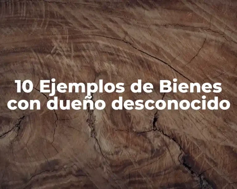 10 Ejemplos de Bienes con dueño desconocido