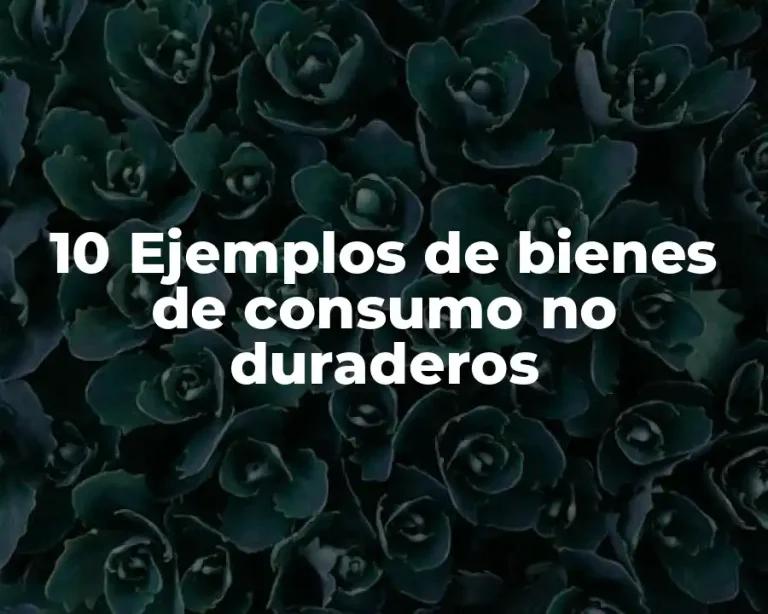 10 Ejemplos de bienes de consumo no duraderos