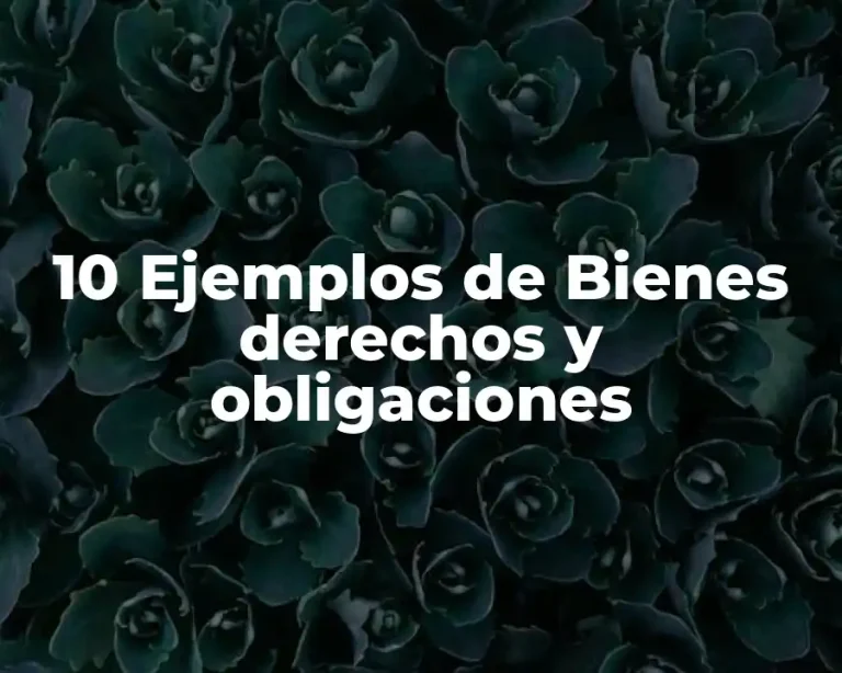 10 Ejemplos de Bienes derechos y obligaciones