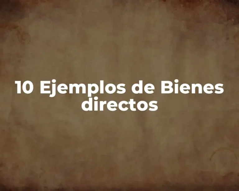10 Ejemplos de Bienes directos