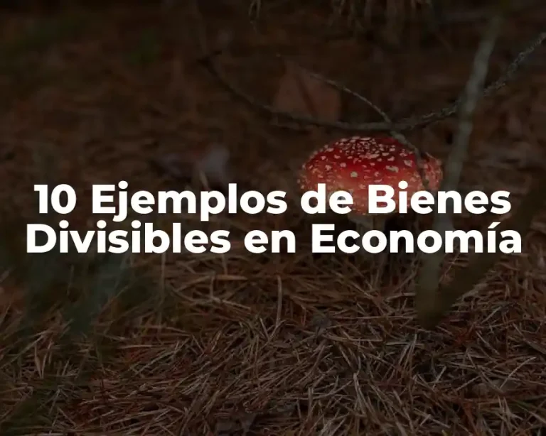 10 Ejemplos de Bienes Divisibles en Economía
