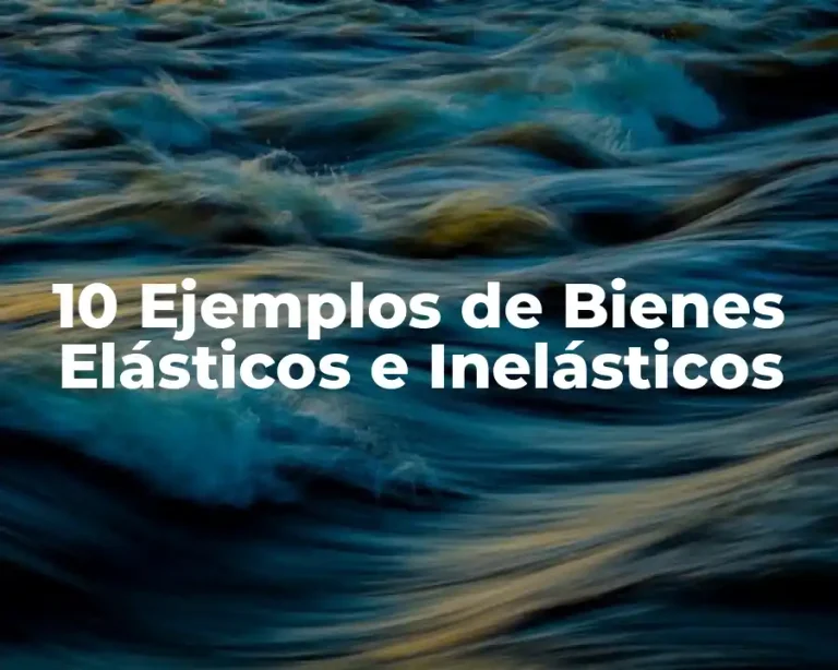10 Ejemplos de Bienes Elásticos e Inelásticos