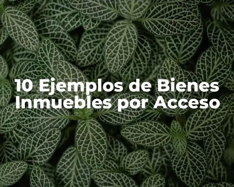 10 Ejemplos de Bienes Inmuebles por Acceso
