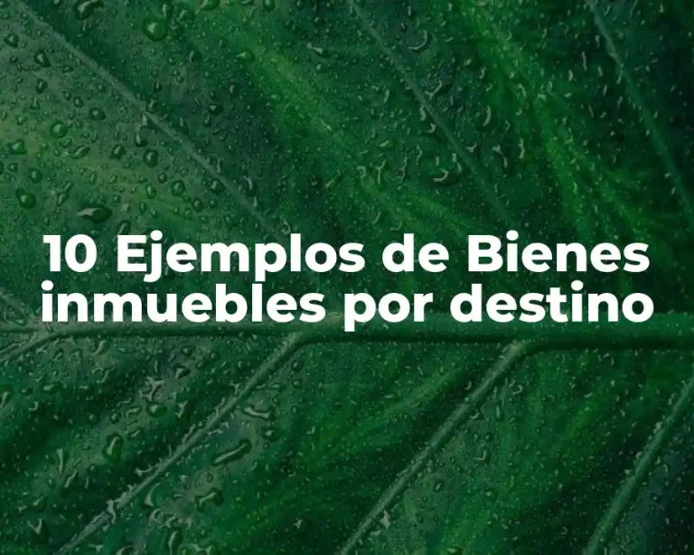 10 Ejemplos de Bienes inmuebles por destino