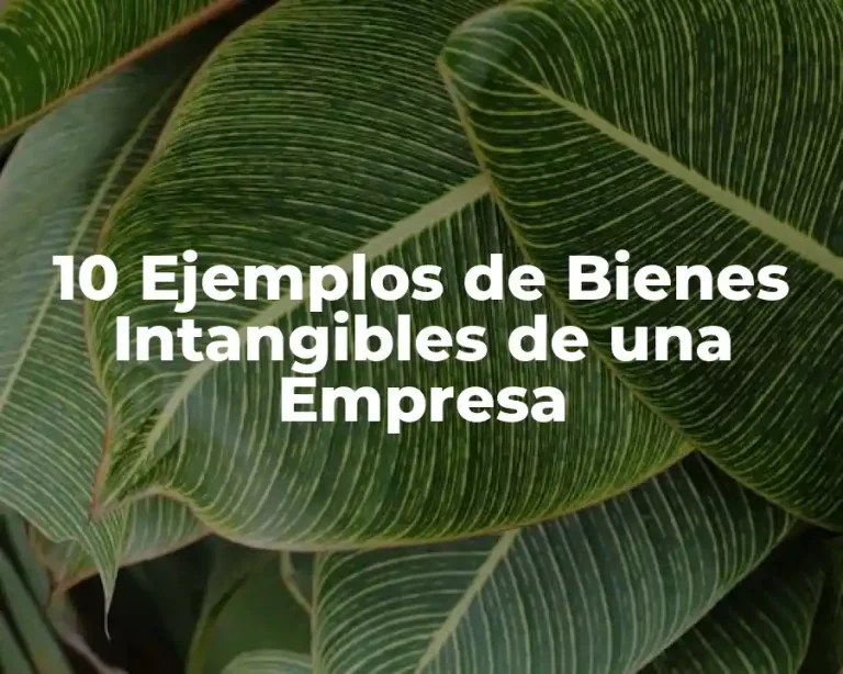 10 Ejemplos de Bienes Intangibles de una Empresa