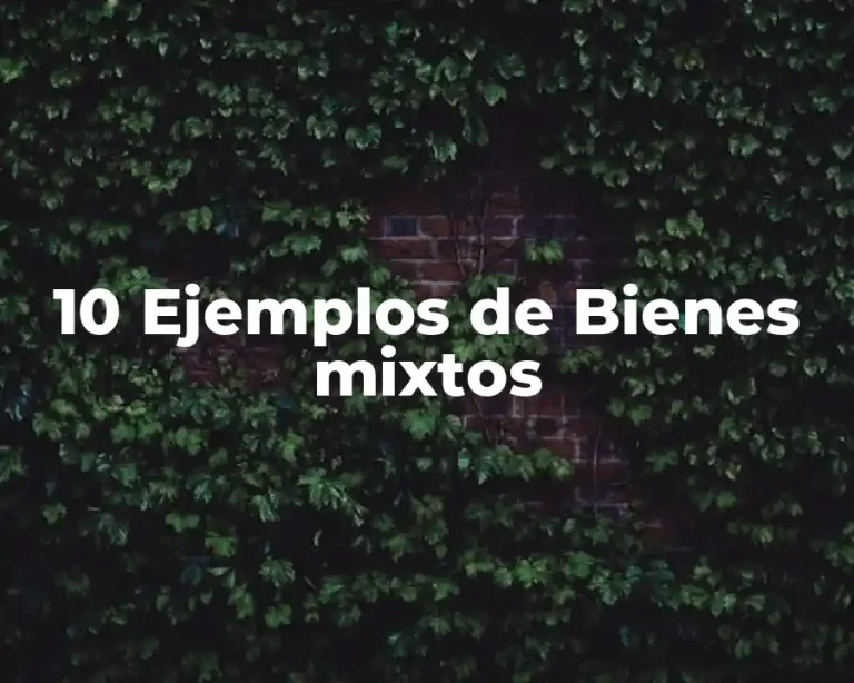 10 Ejemplos de Bienes mixtos