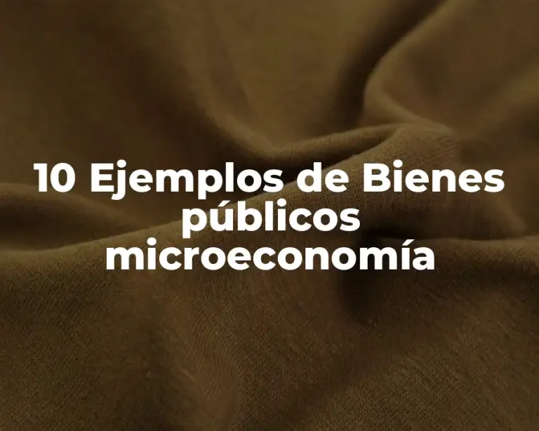 10 Ejemplos de Bienes públicos microeconomía