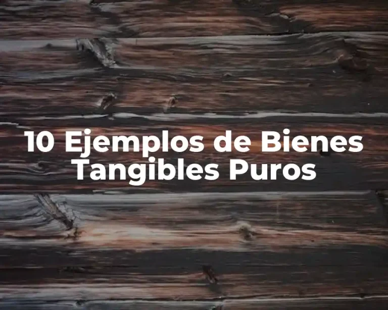 10 Ejemplos de Bienes Tangibles Puros