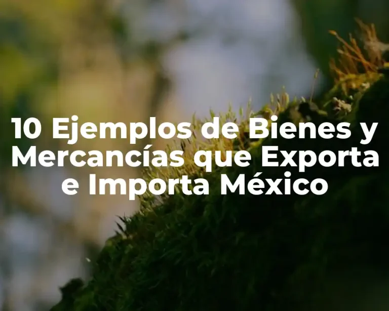 10 Ejemplos de Bienes y Mercancías que Exporta e Importa México
