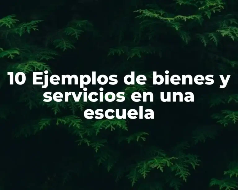 10 Ejemplos de bienes y servicios en una escuela