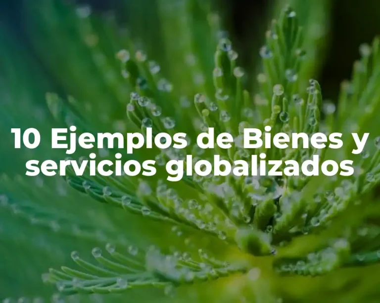 10 Ejemplos de Bienes y servicios globalizados