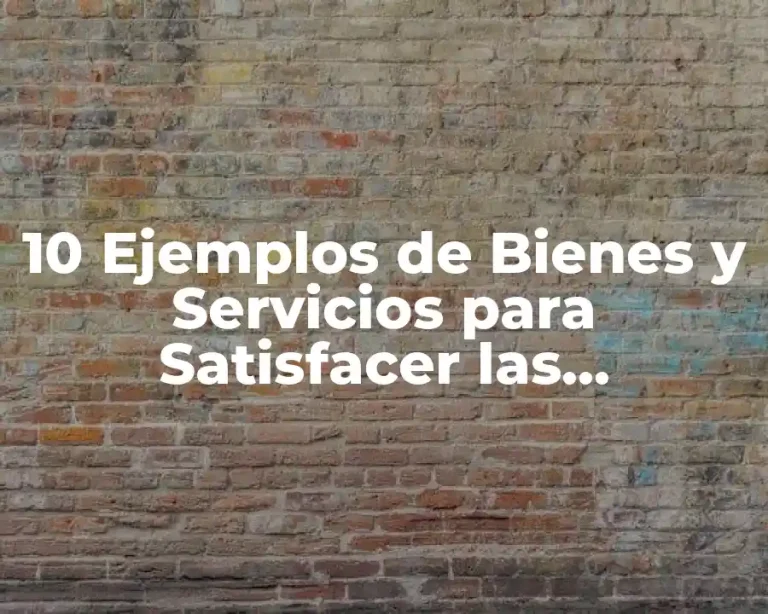 10 Ejemplos de Bienes y Servicios para Satisfacer las Necesidades Humanas