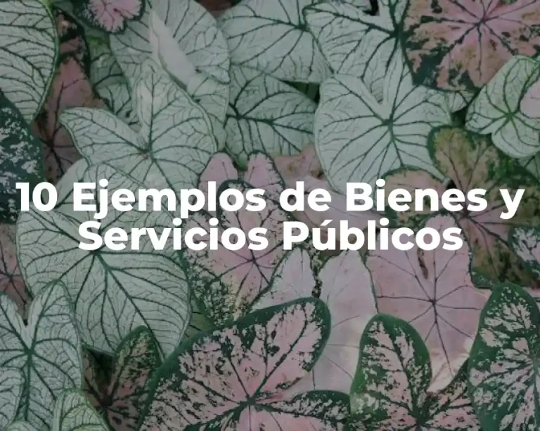 10 Ejemplos de Bienes y Servicios Públicos