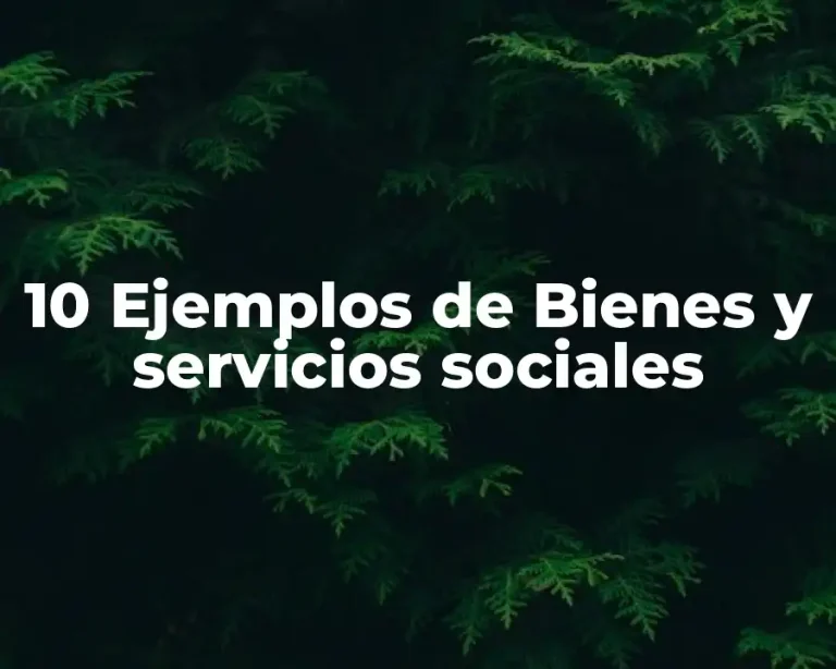 10 Ejemplos de Bienes y servicios sociales